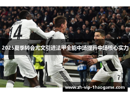 2025夏季转会尤文引进法甲全能中场提升中场核心实力 2025夏季转会尤文引进法甲全能中场提升中场核心实力