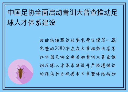 中国足协全面启动青训大普查推动足球人才体系建设