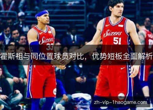 霍斯祖与同位置球员对比,优势短板全面解析 霍斯祖与同位置球员对比,优势短板全面解析
